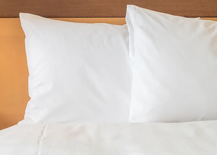 hotels near 