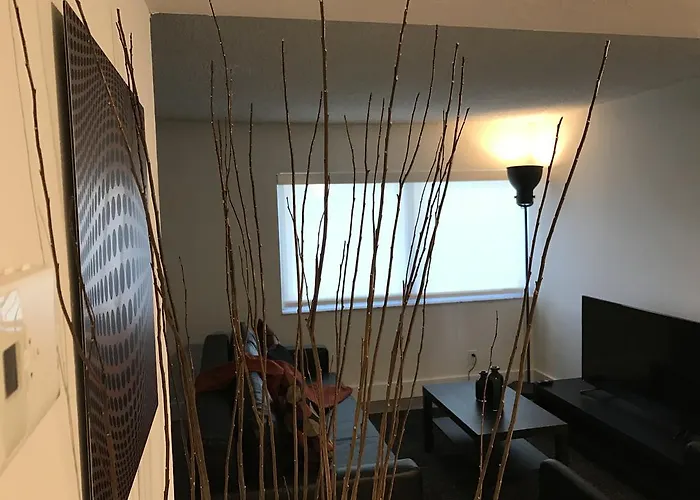 Coral Gables Condos for Rent
