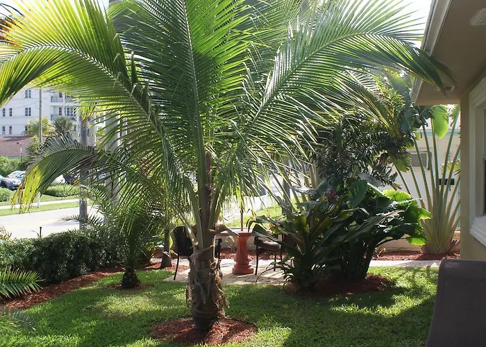 hotels near 